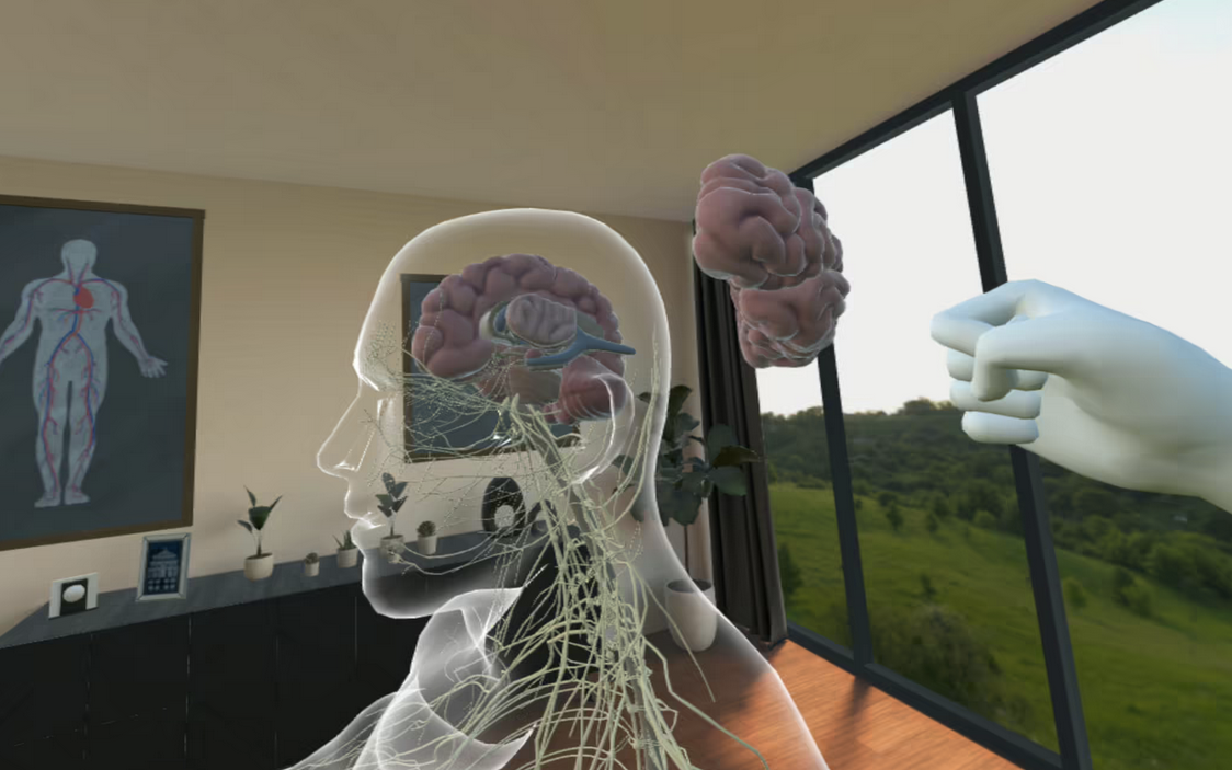 Anatomy Trainer
